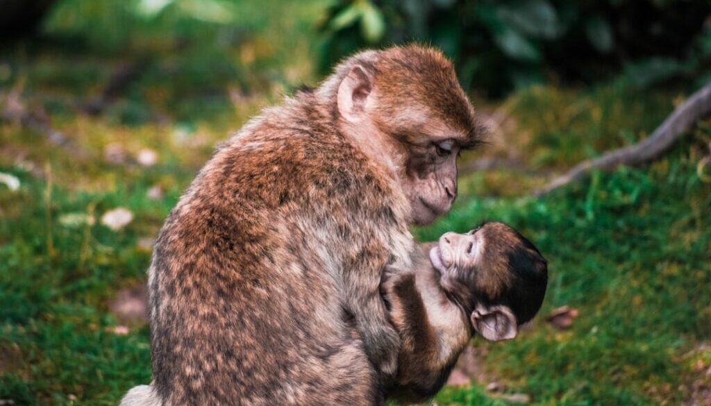 Relacje rodzinne – jak dbać o nie przez codzienne przytulanie?