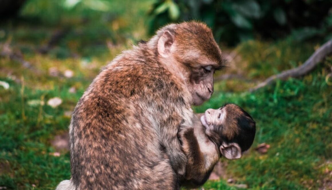 Relacje rodzinne – jak dbać o nie przez codzienne przytulanie?